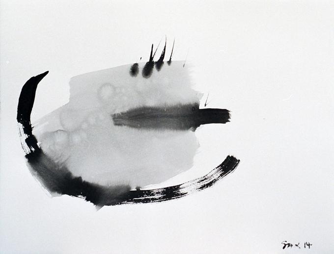 5-2014 drin 51x66 chf 2000.jpg